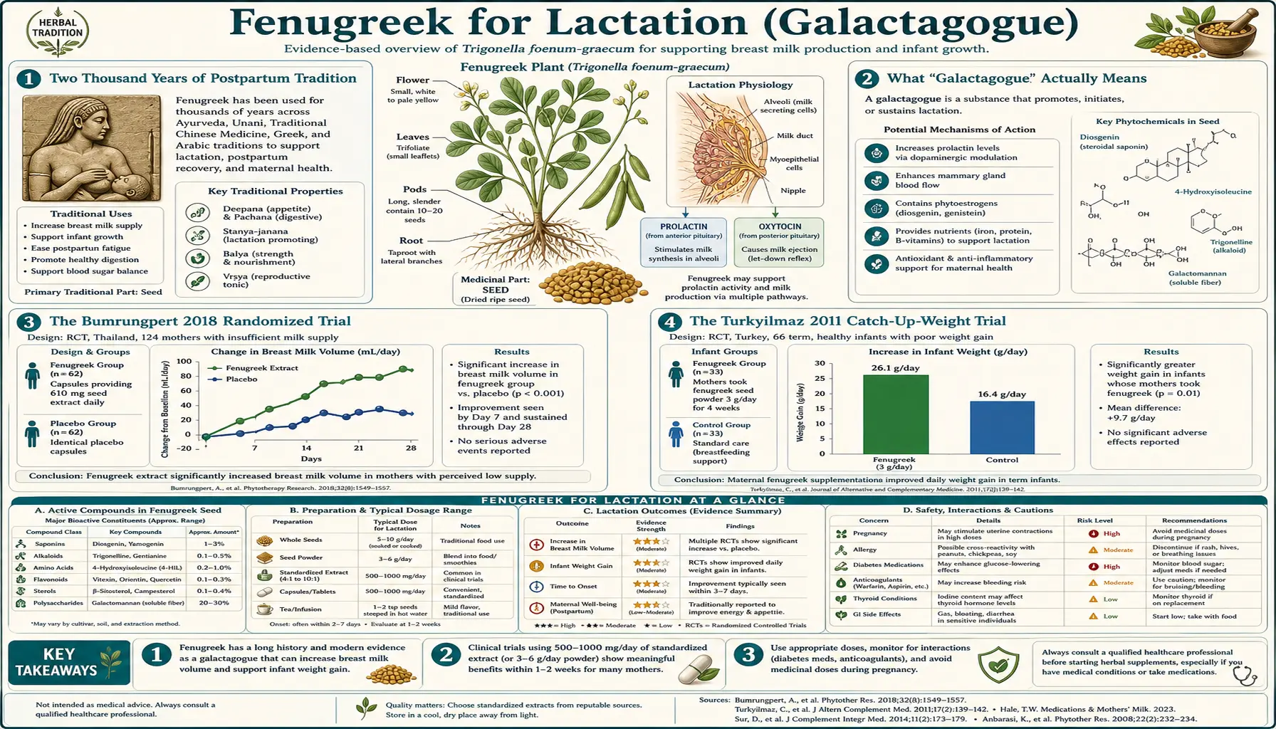 Lactation — scientific infographic poster