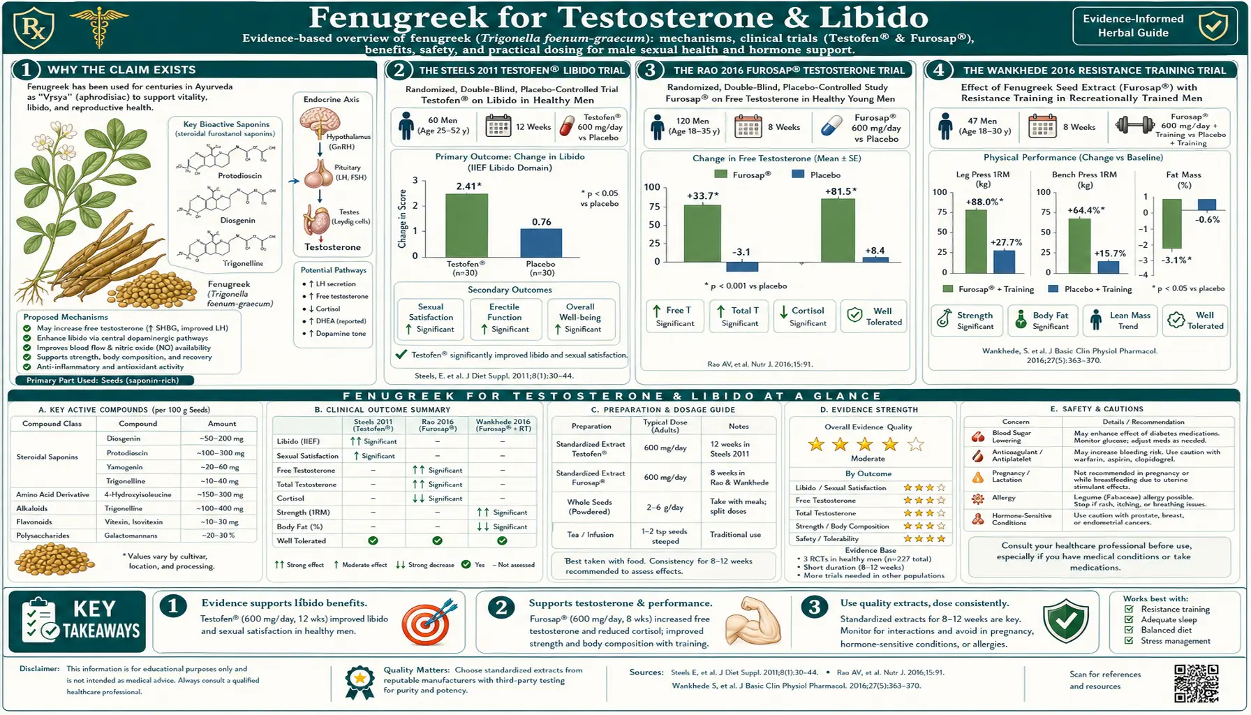 Testosterone and Libido — scientific infographic poster