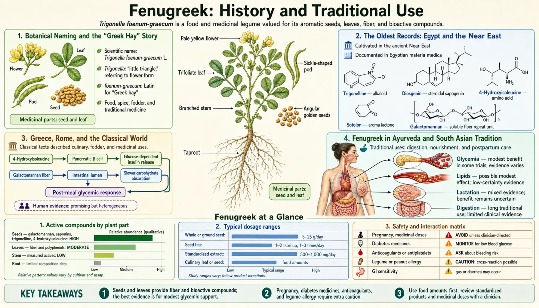 History — scientific infographic poster