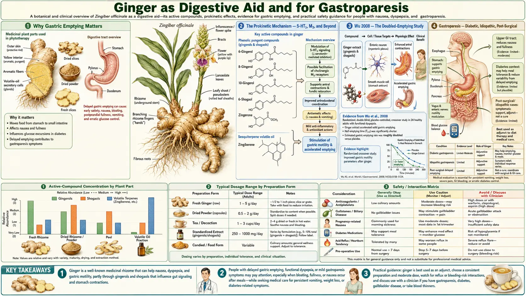 Digestive Aid and Gastroparesis — scientific infographic poster