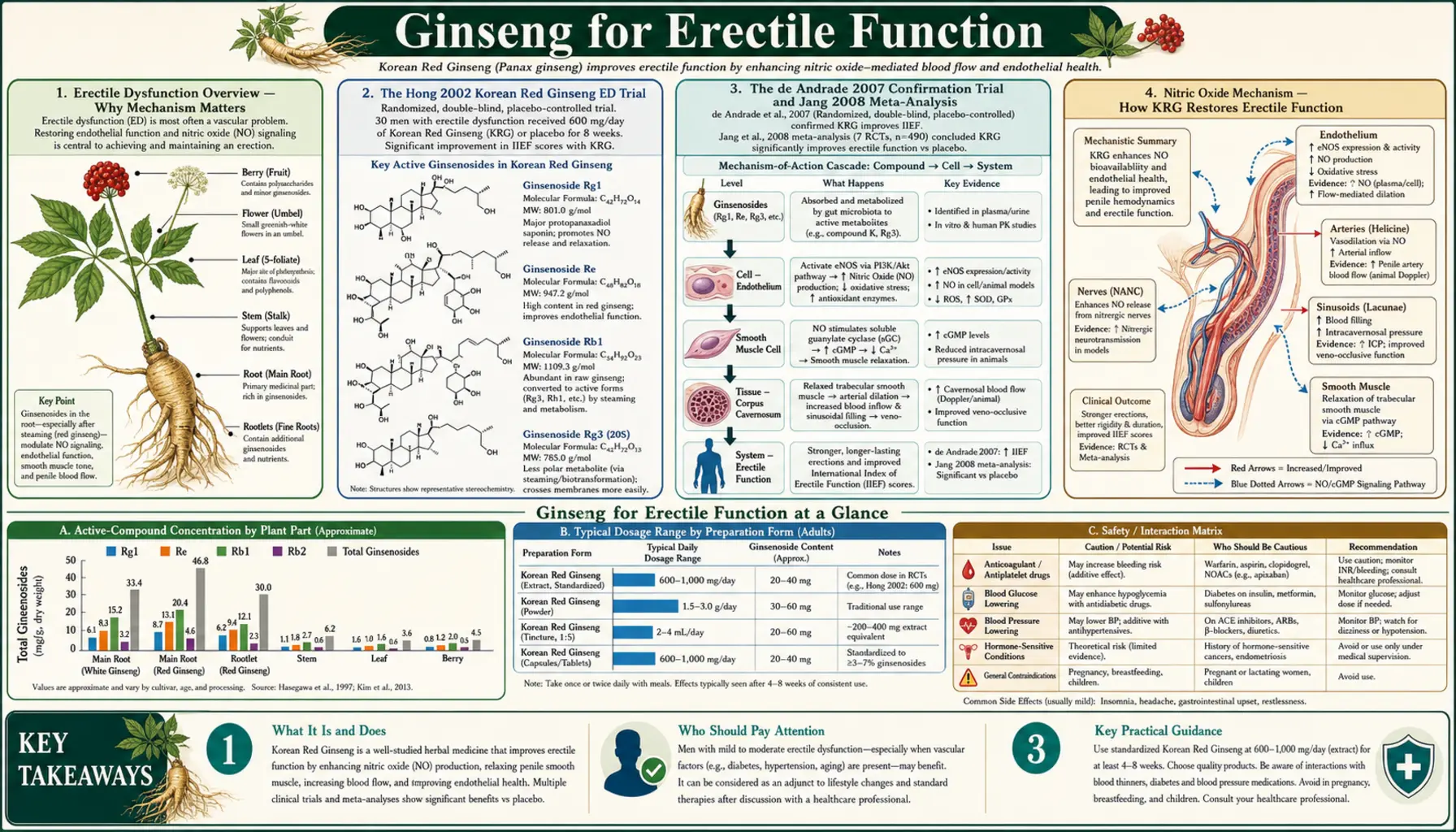 Erectile Function — scientific infographic poster