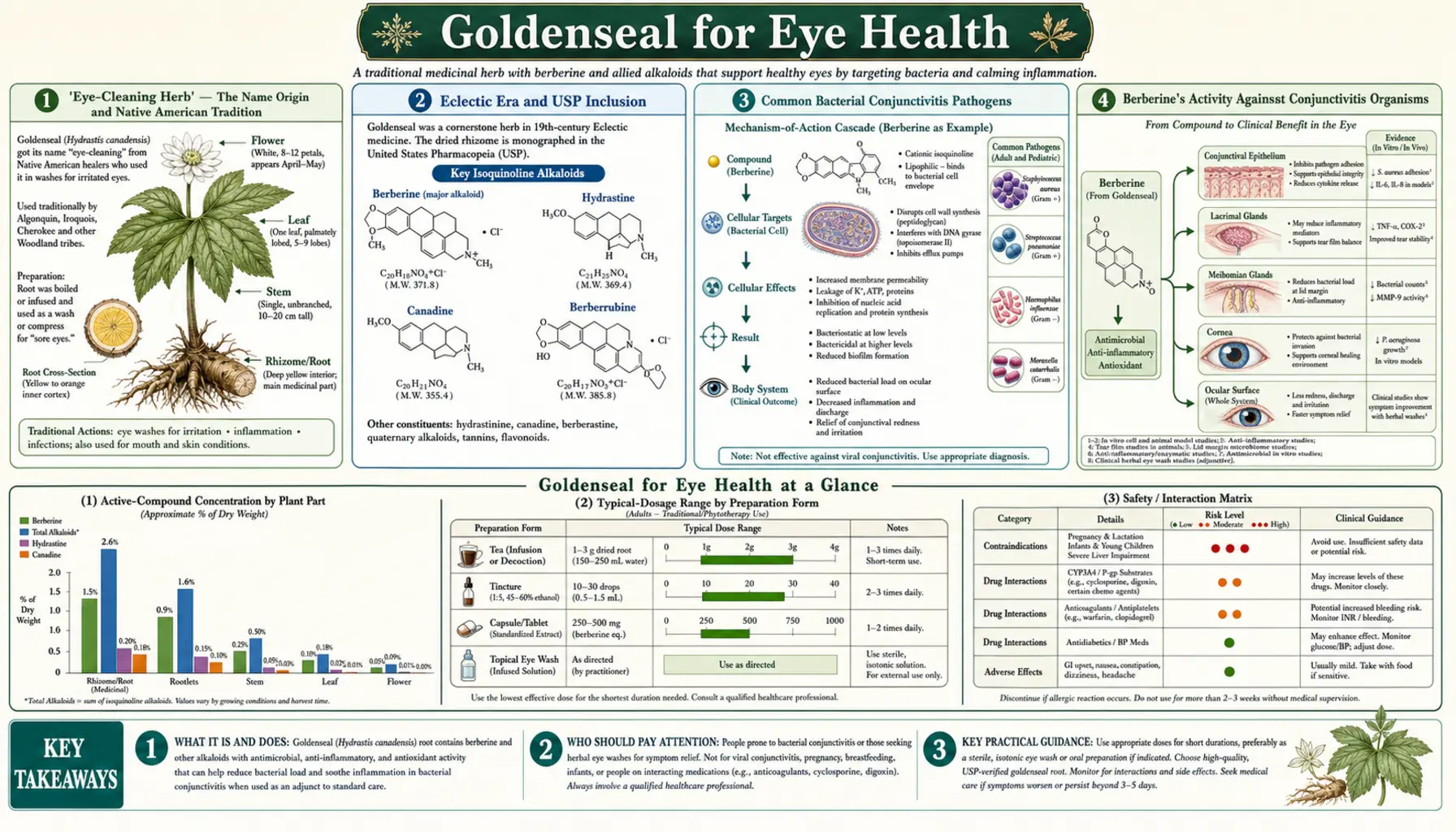 Eye Health — scientific infographic poster