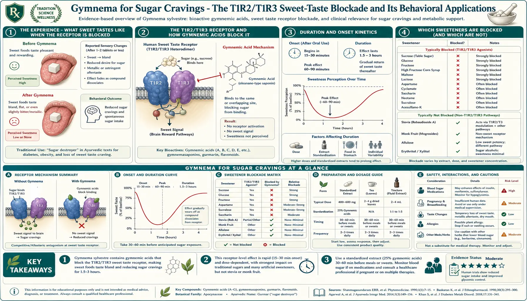Sugar Cravings — scientific infographic poster