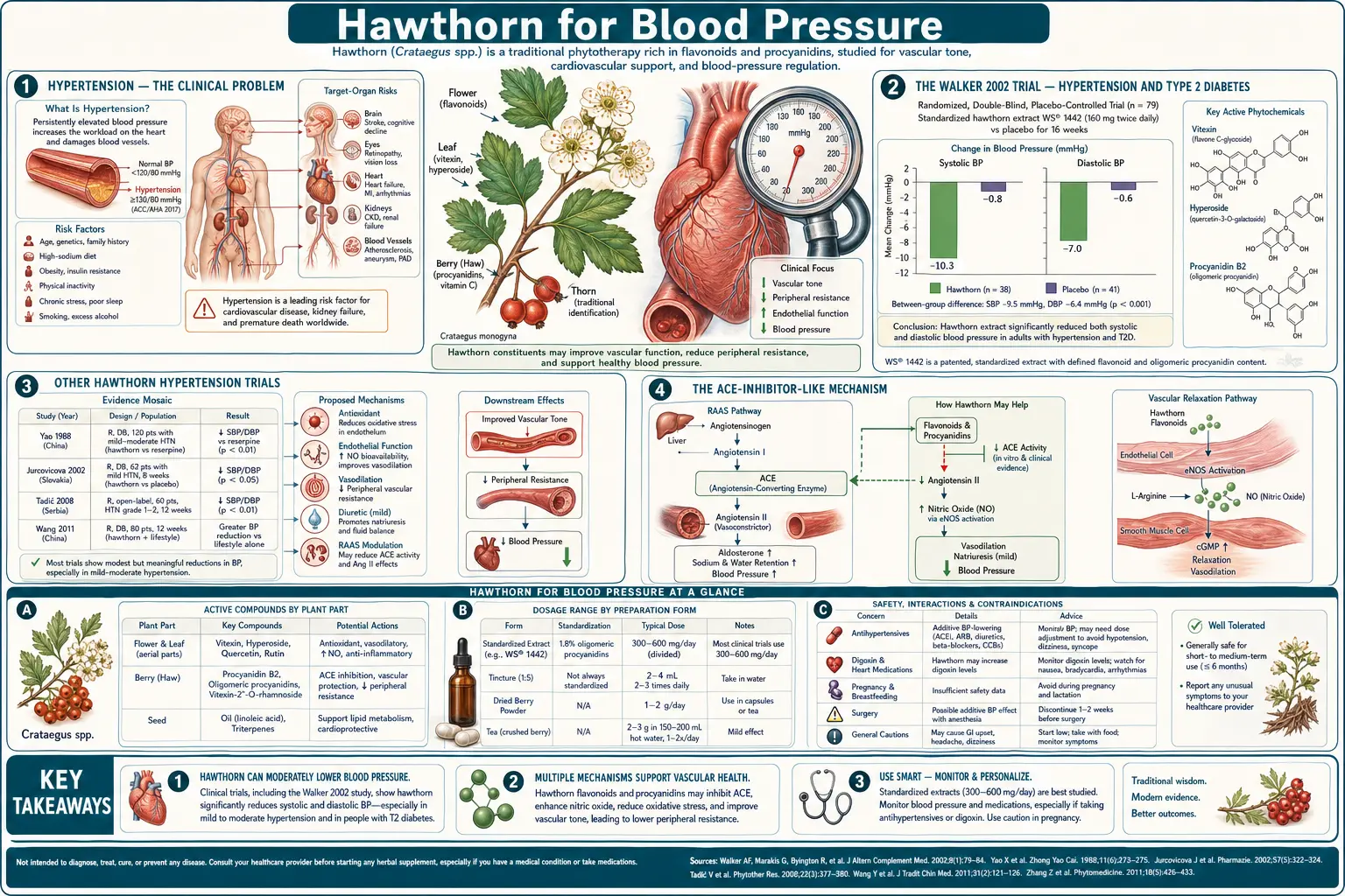 Blood Pressure — scientific infographic poster