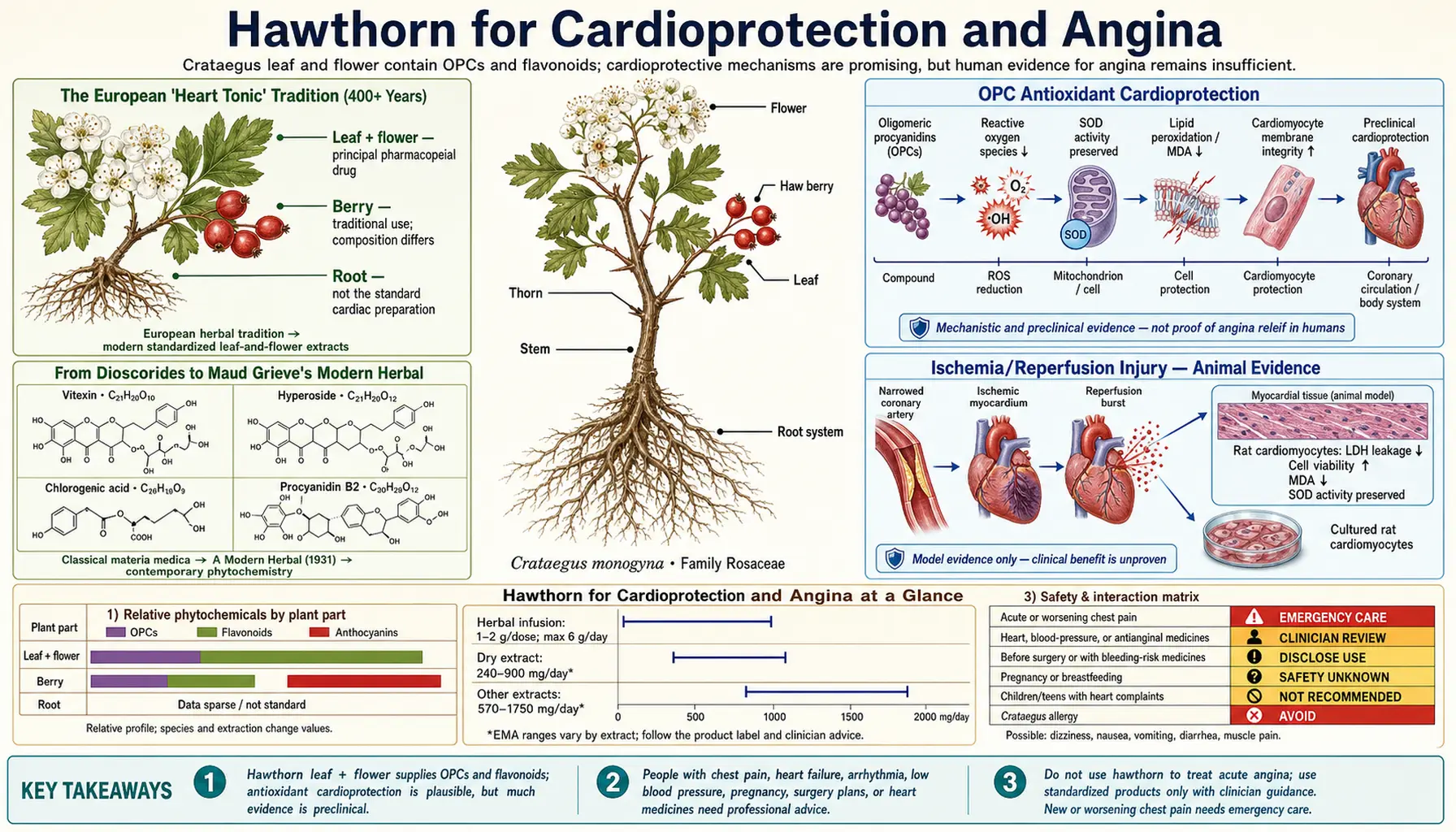 Cardioprotection and Angina — scientific infographic poster