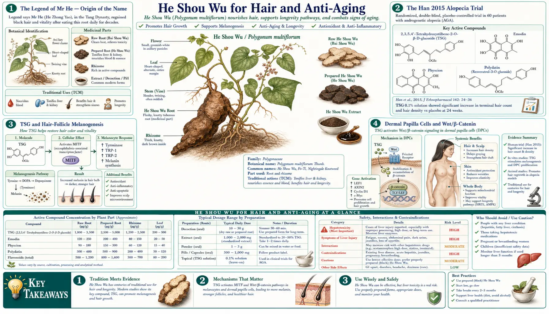 Hair and Anti Aging — scientific infographic poster
