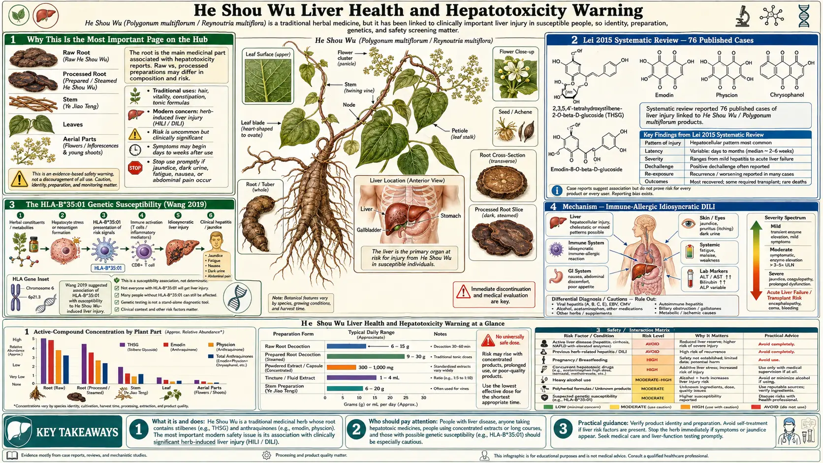 Liver Health and Hepatotoxicity Warning — scientific infographic poster