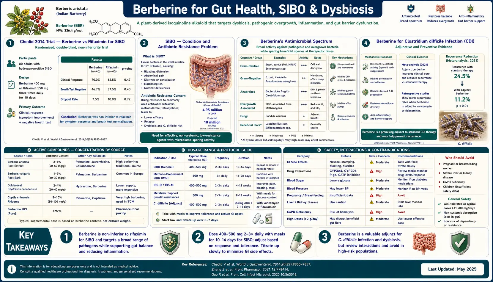 Gut Health and SIBO — scientific infographic poster