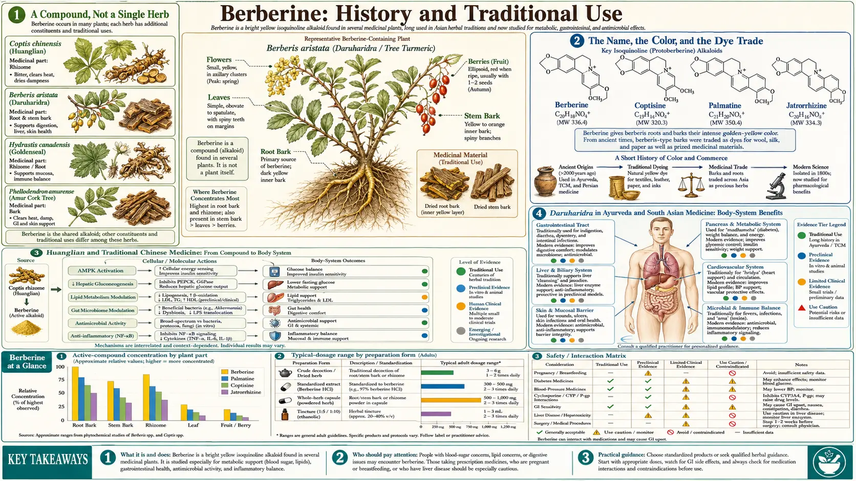 History — scientific infographic poster