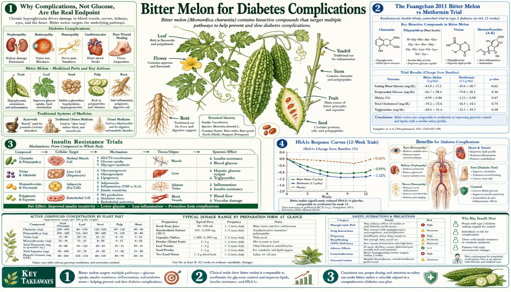Diabetes Complications — scientific infographic poster