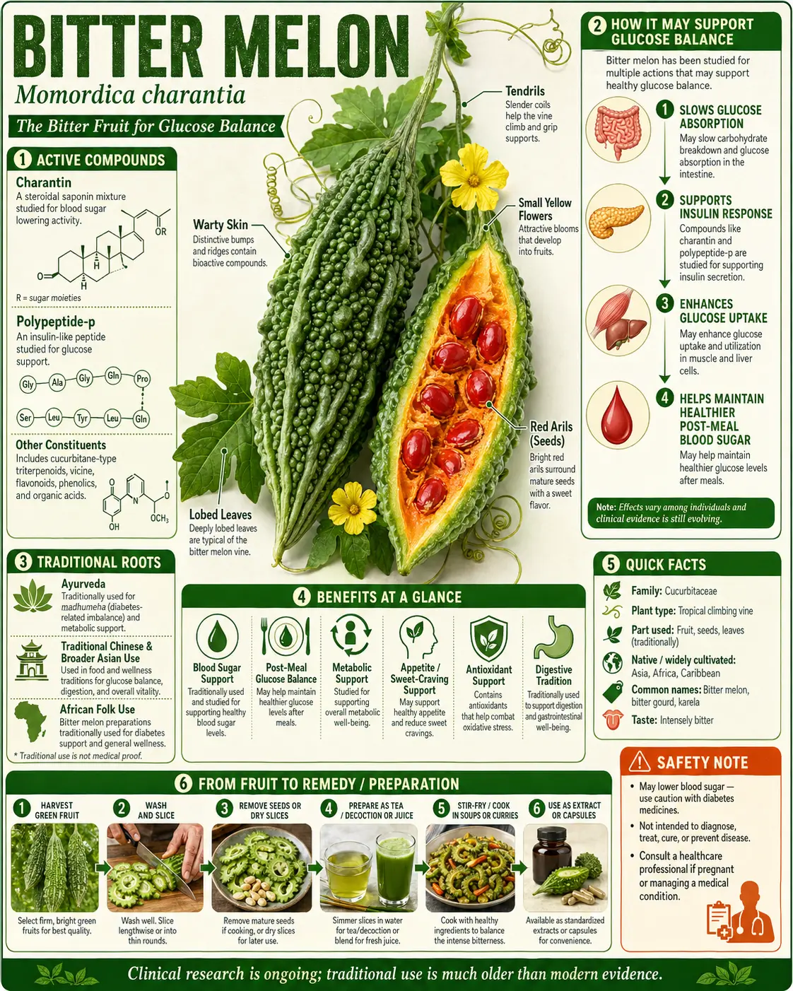 Bitter Melon (Momordica charantia)