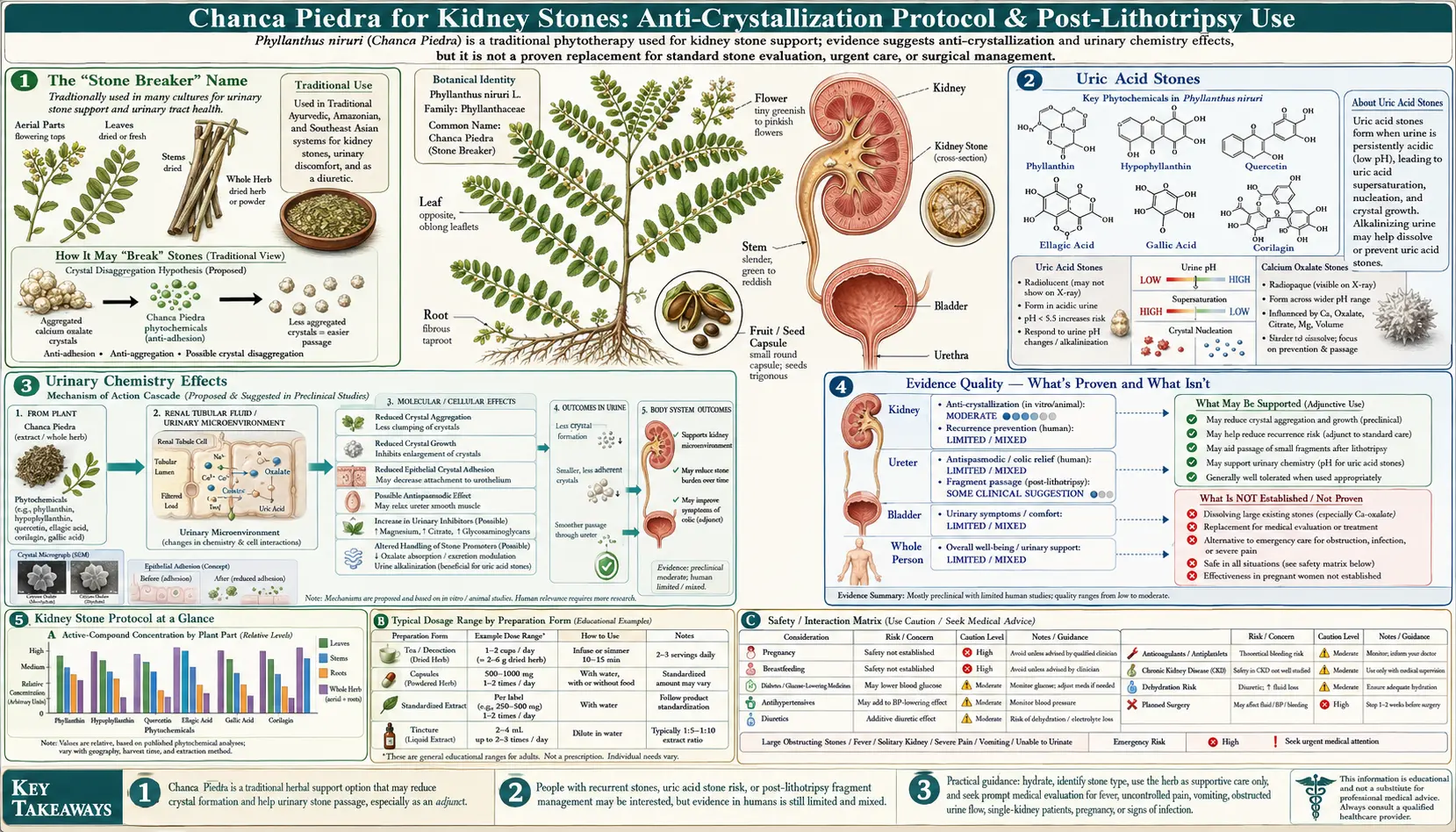 Kidney Stone Protocol — scientific infographic poster