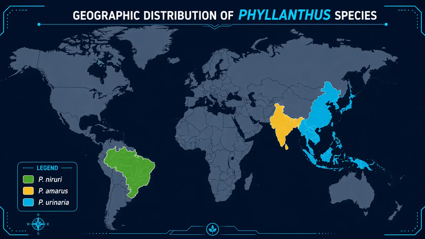 Geographic distribution of P. niruri, P. amarus, and P. urinaria
