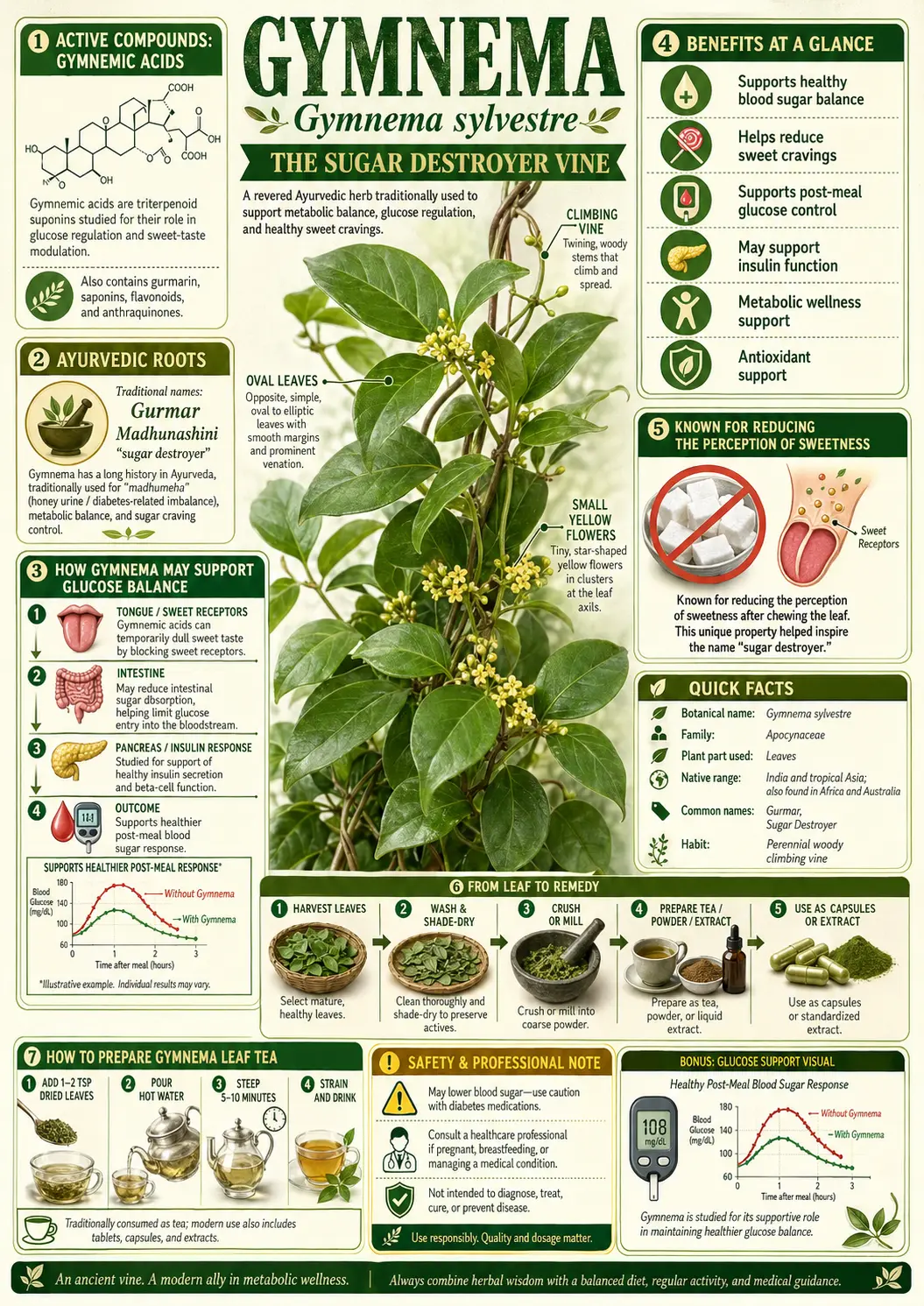 Gymnema (Gymnema sylvestre)