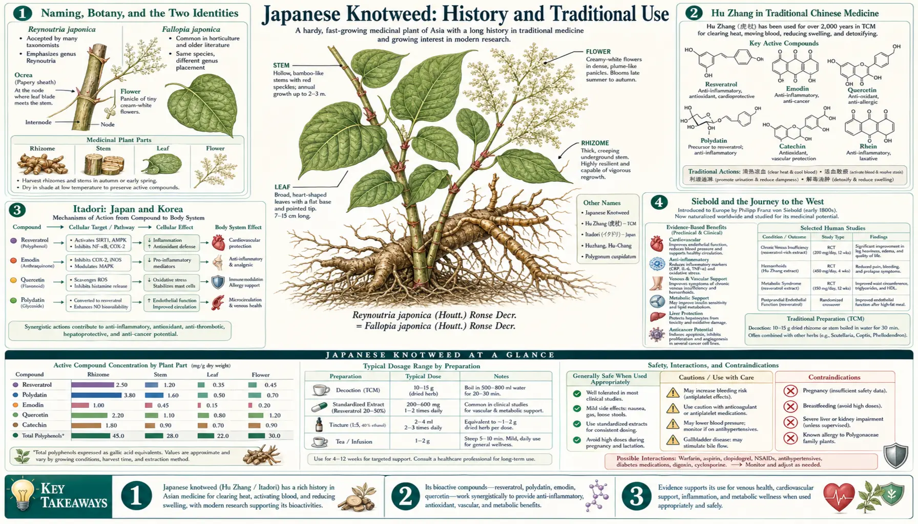 History — scientific infographic poster