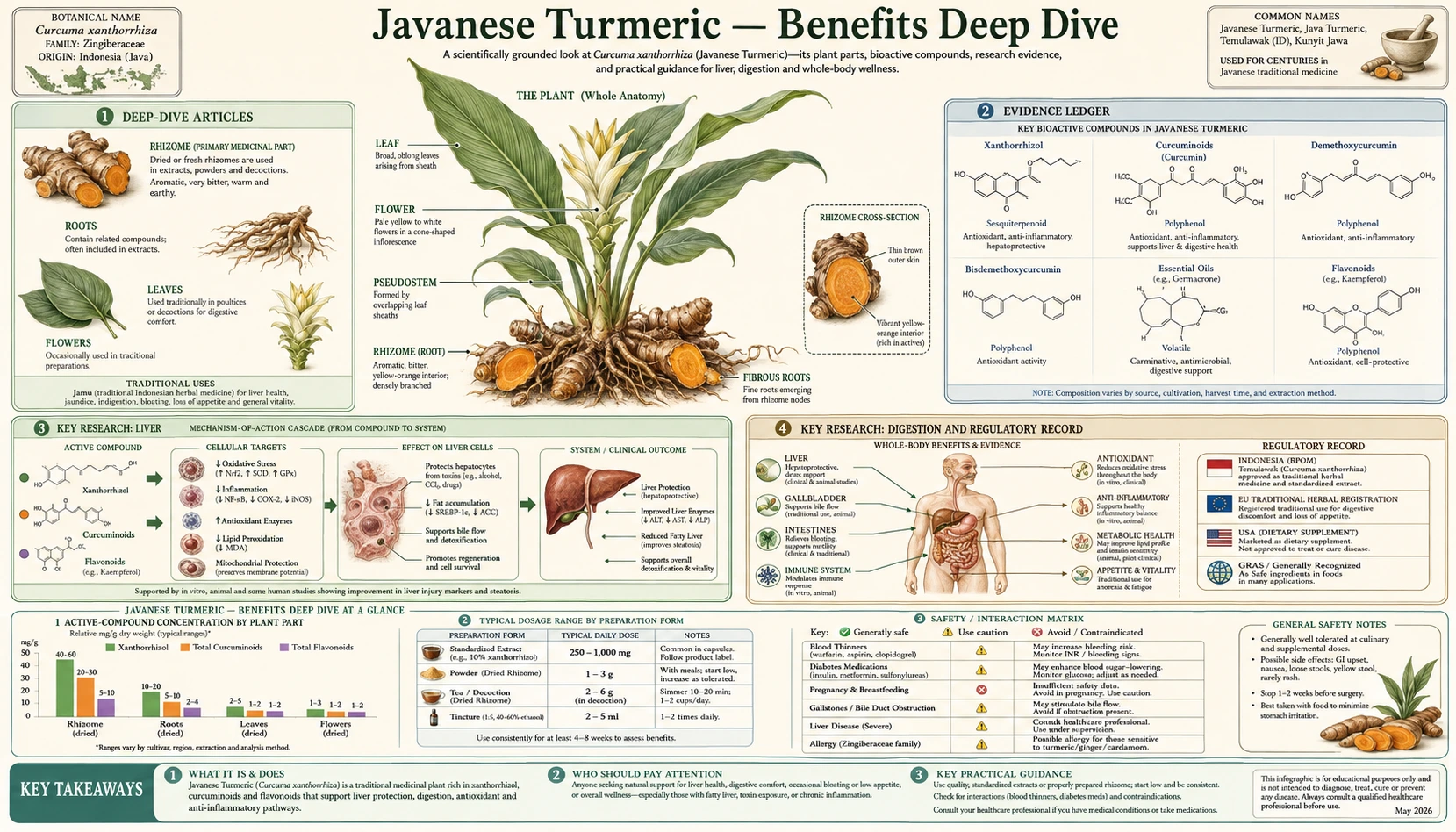 Benefits — scientific infographic poster