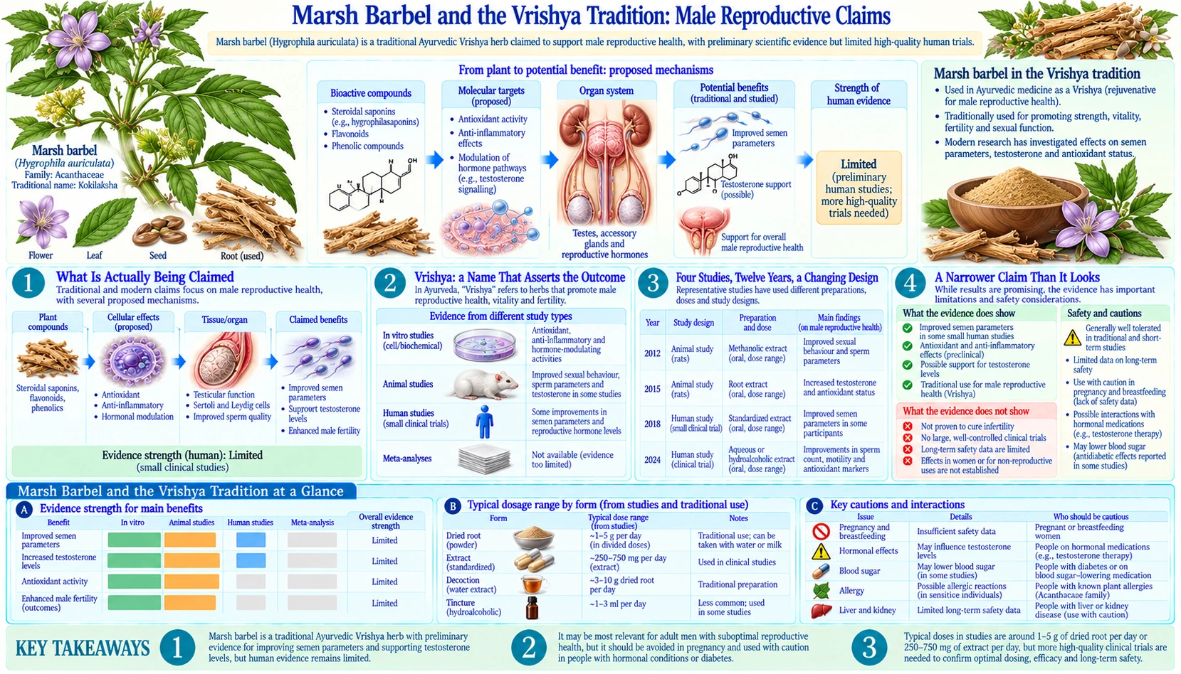 Male Reproductive and Vrishya Claims — scientific infographic poster