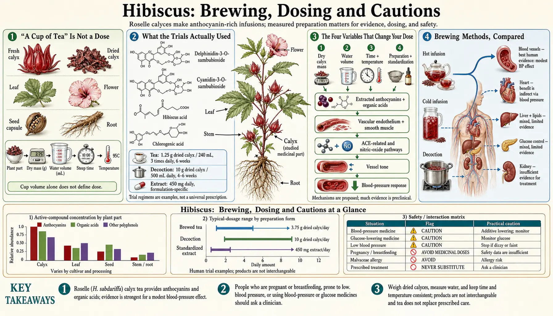 Brewing Dosing and Cautions — scientific infographic poster