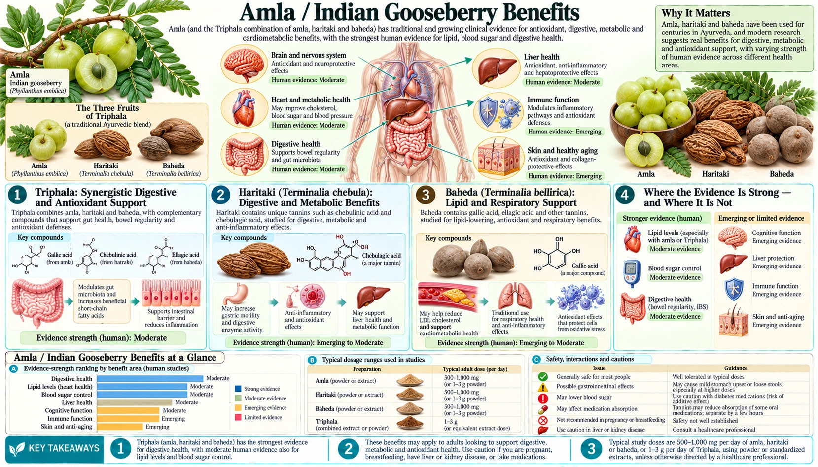 Benefits — scientific infographic poster