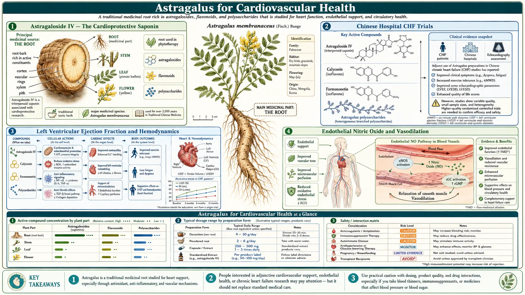 Cardiovascular Health — scientific infographic poster