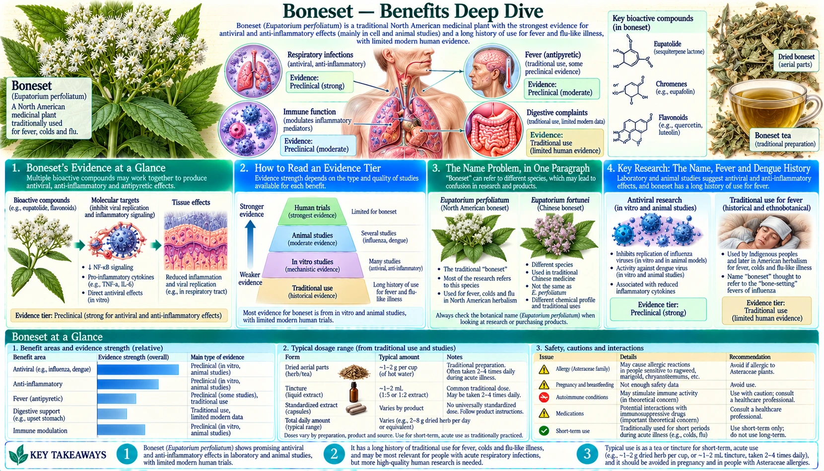 Benefits — scientific infographic poster
