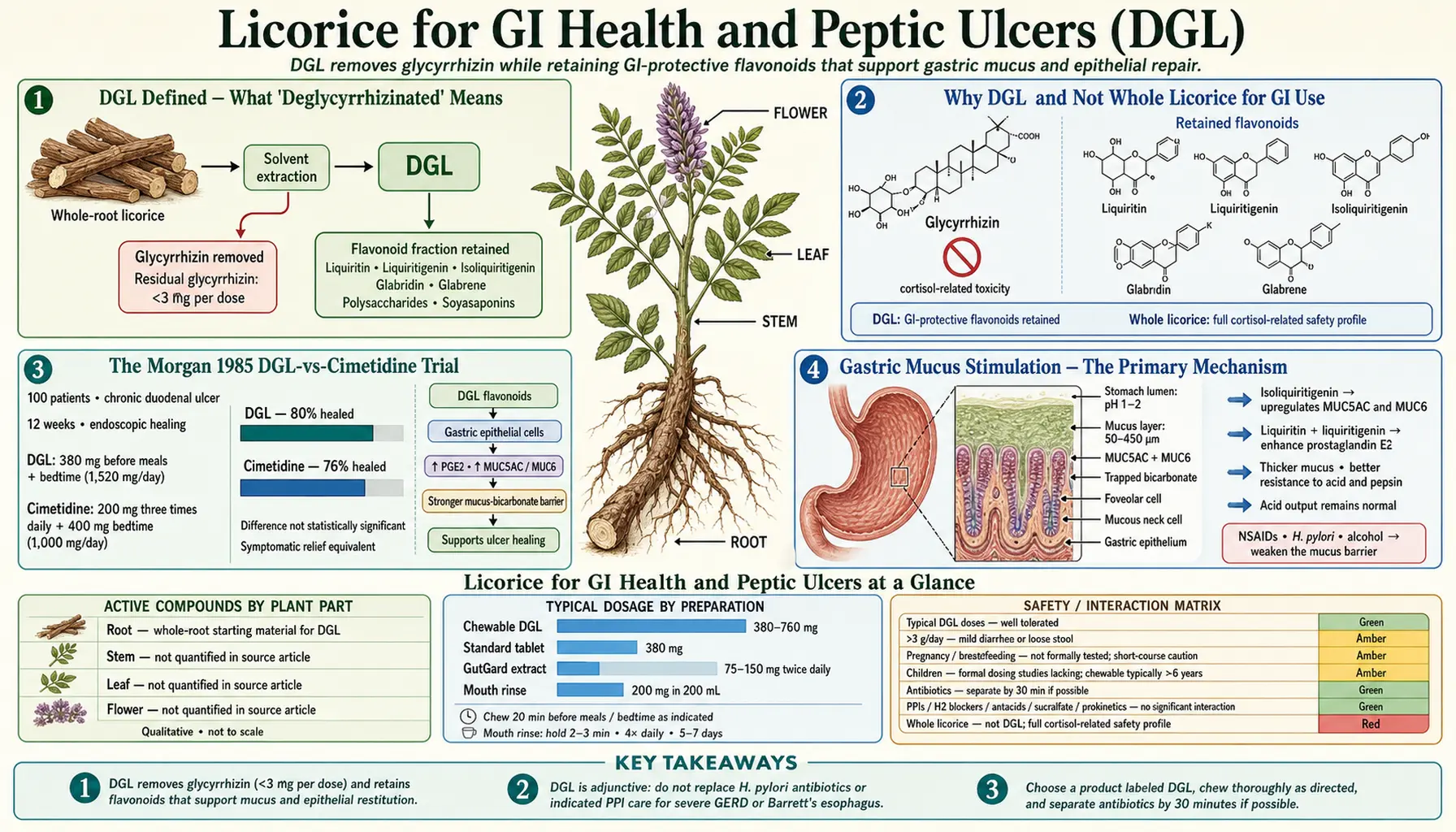 gastrointestinal Health and Ulcers — scientific infographic poster