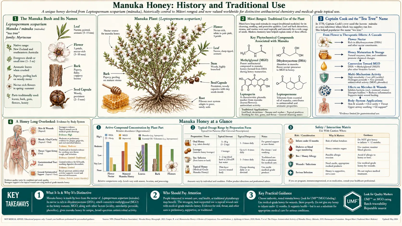 History — scientific infographic poster