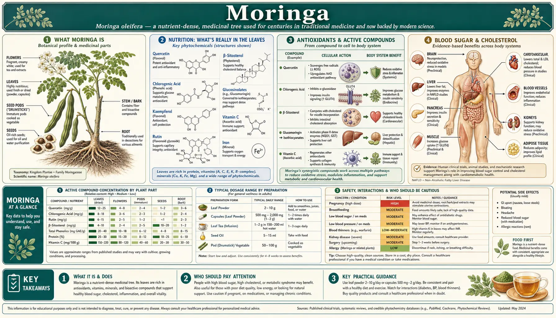 Moringa — scientific infographic poster