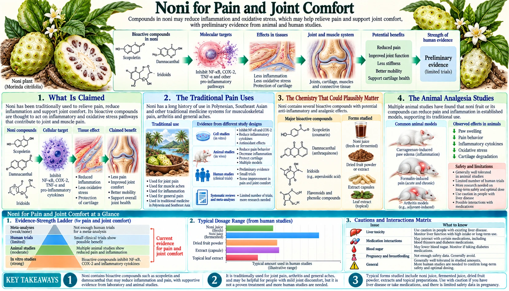 Pain and Joint Comfort — scientific infographic poster