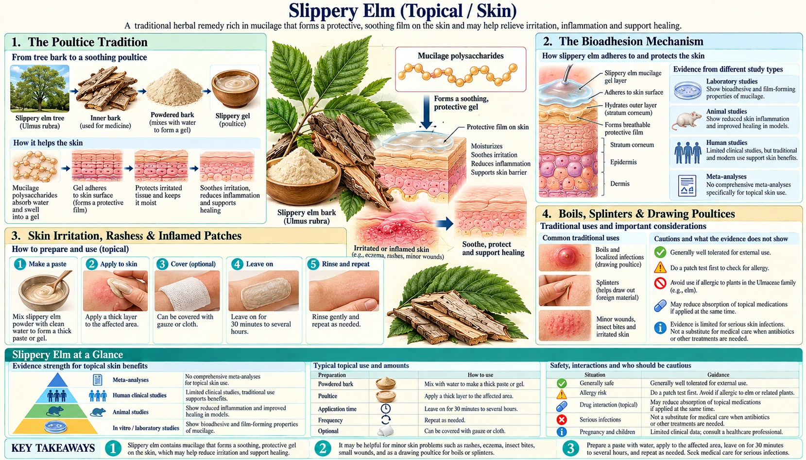 Skin Topical — scientific infographic poster