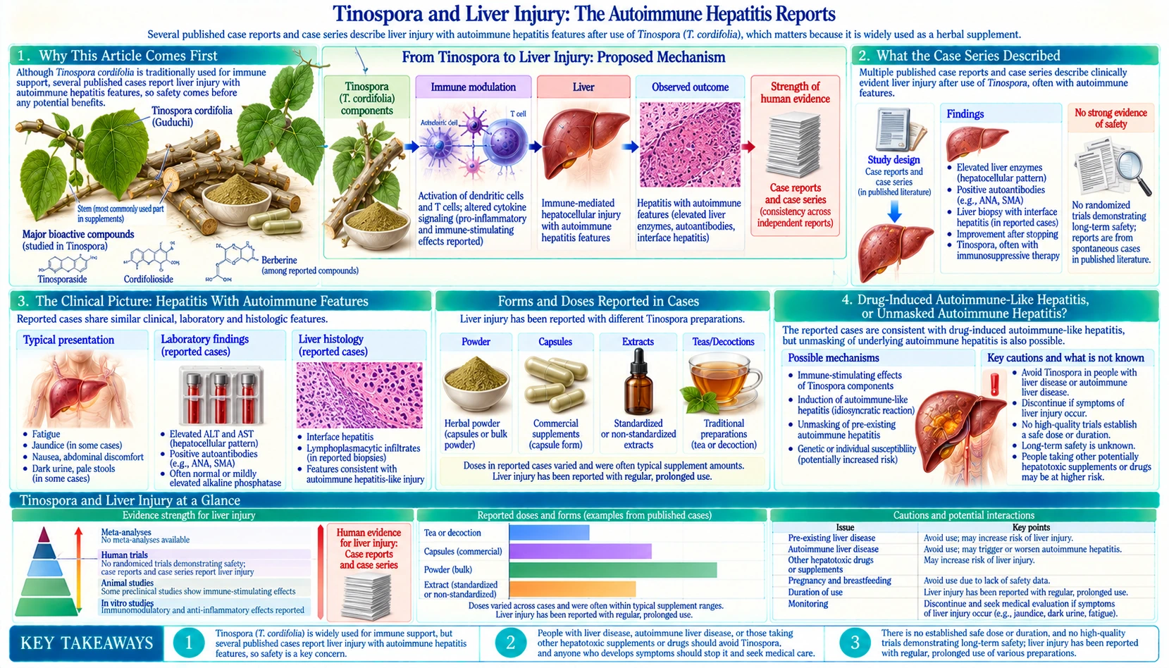Autoimmune Hepatitis Reports — scientific infographic poster