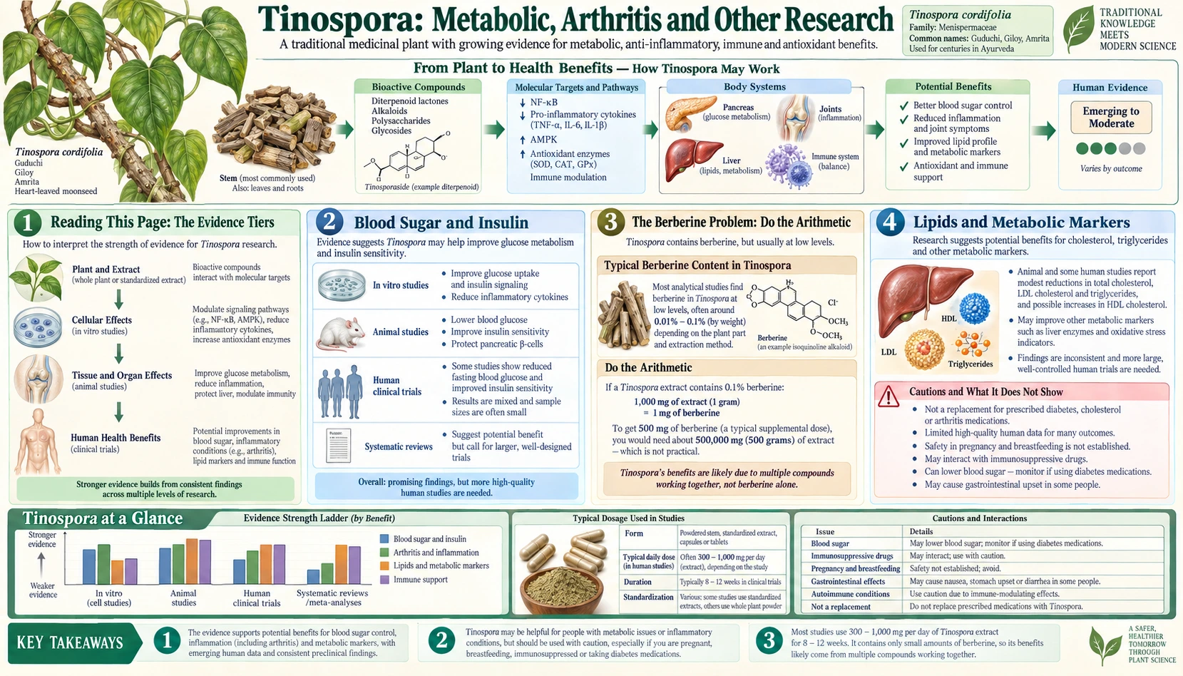 Metabolic Arthritis and Other Research — scientific infographic poster