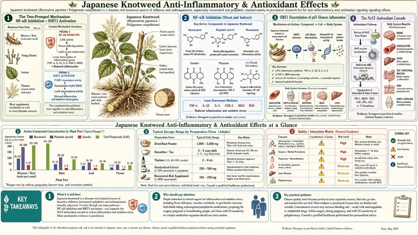Anti Inflammatory and Antioxidant — scientific infographic poster