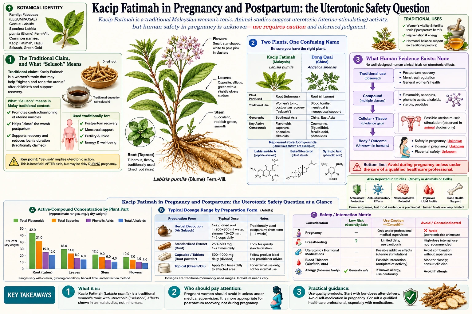 Pregnancy and Postpartum Safety — scientific infographic poster