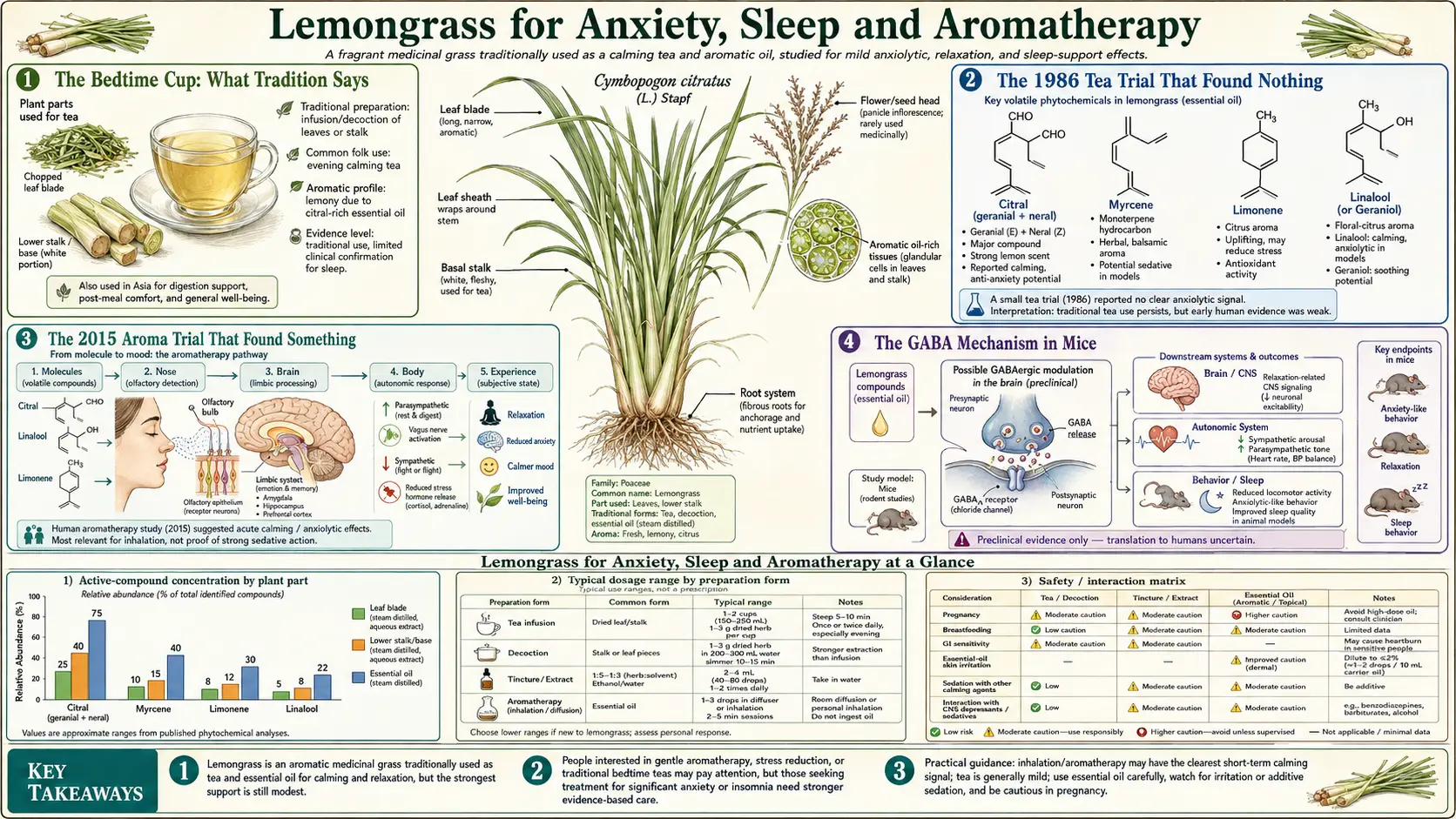 Anxiety Sleep and Aromatherapy — scientific infographic poster