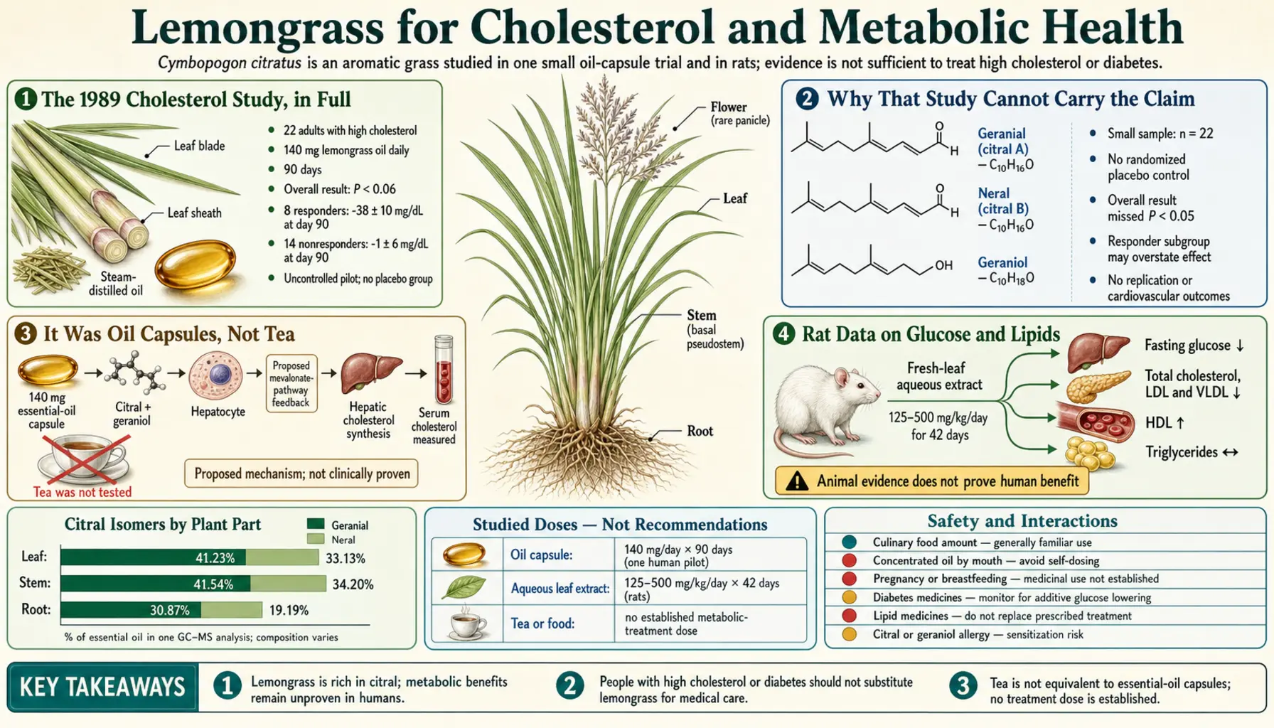 Cholesterol and Metabolic — scientific infographic poster