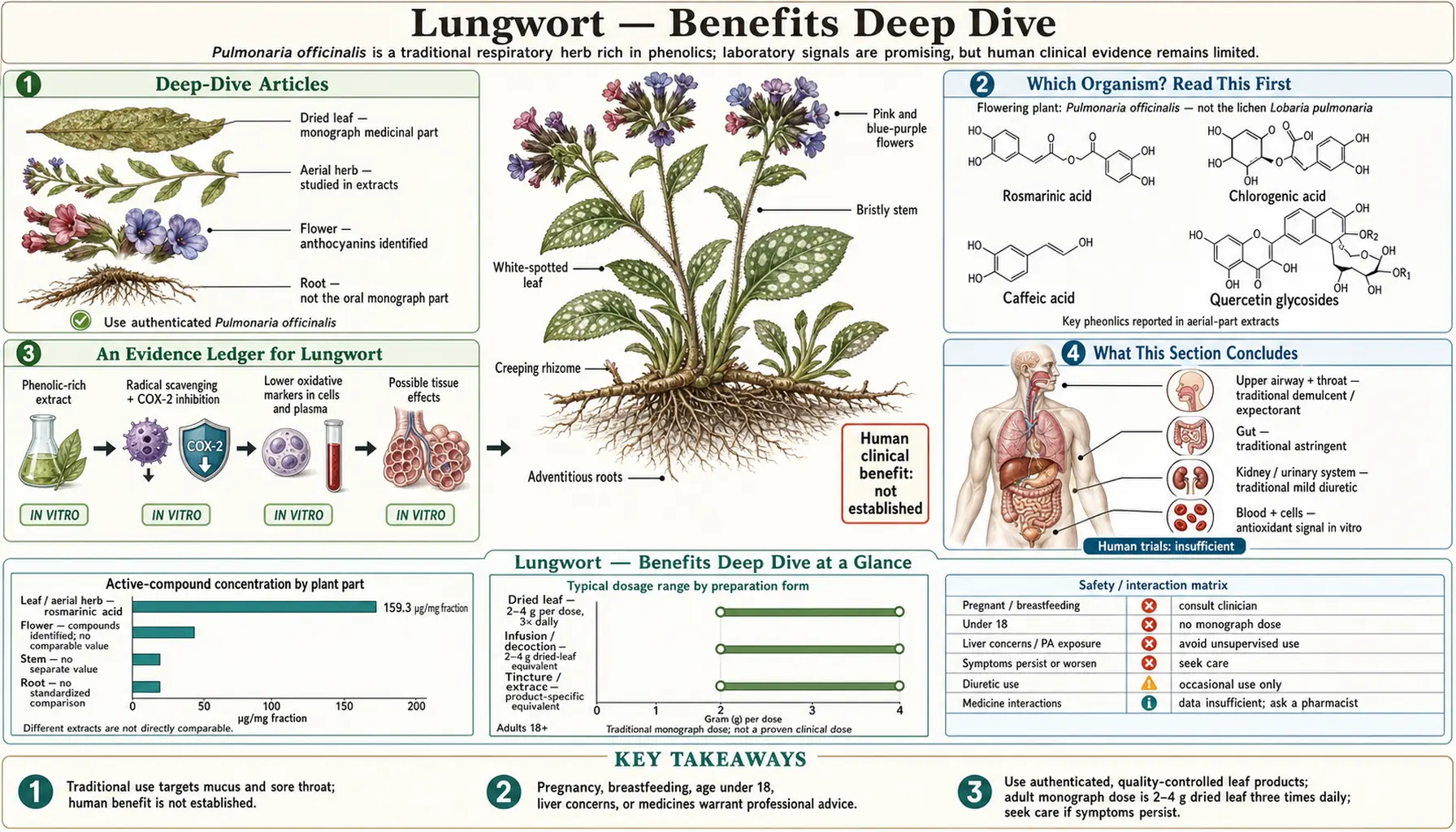 Benefits — scientific infographic poster