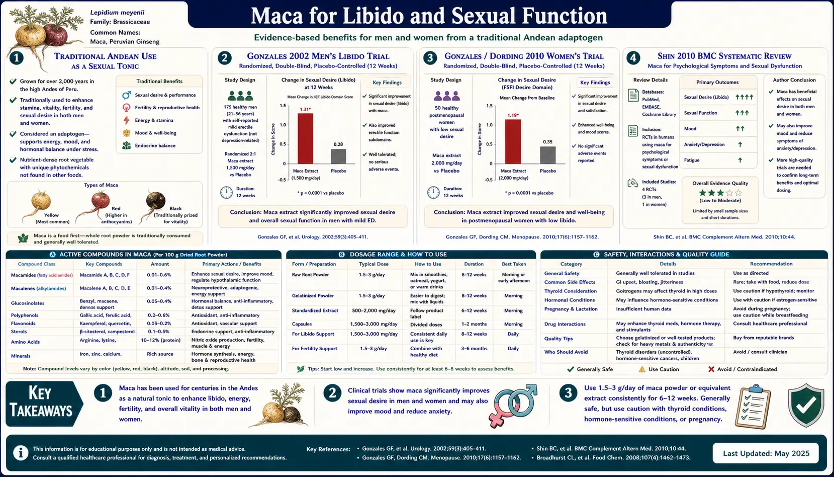 Libido and Sexual Function — scientific infographic poster