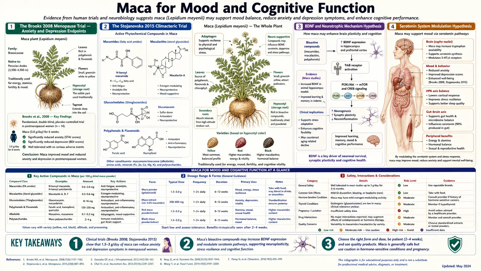 Mood and Cognitive Function — scientific infographic poster