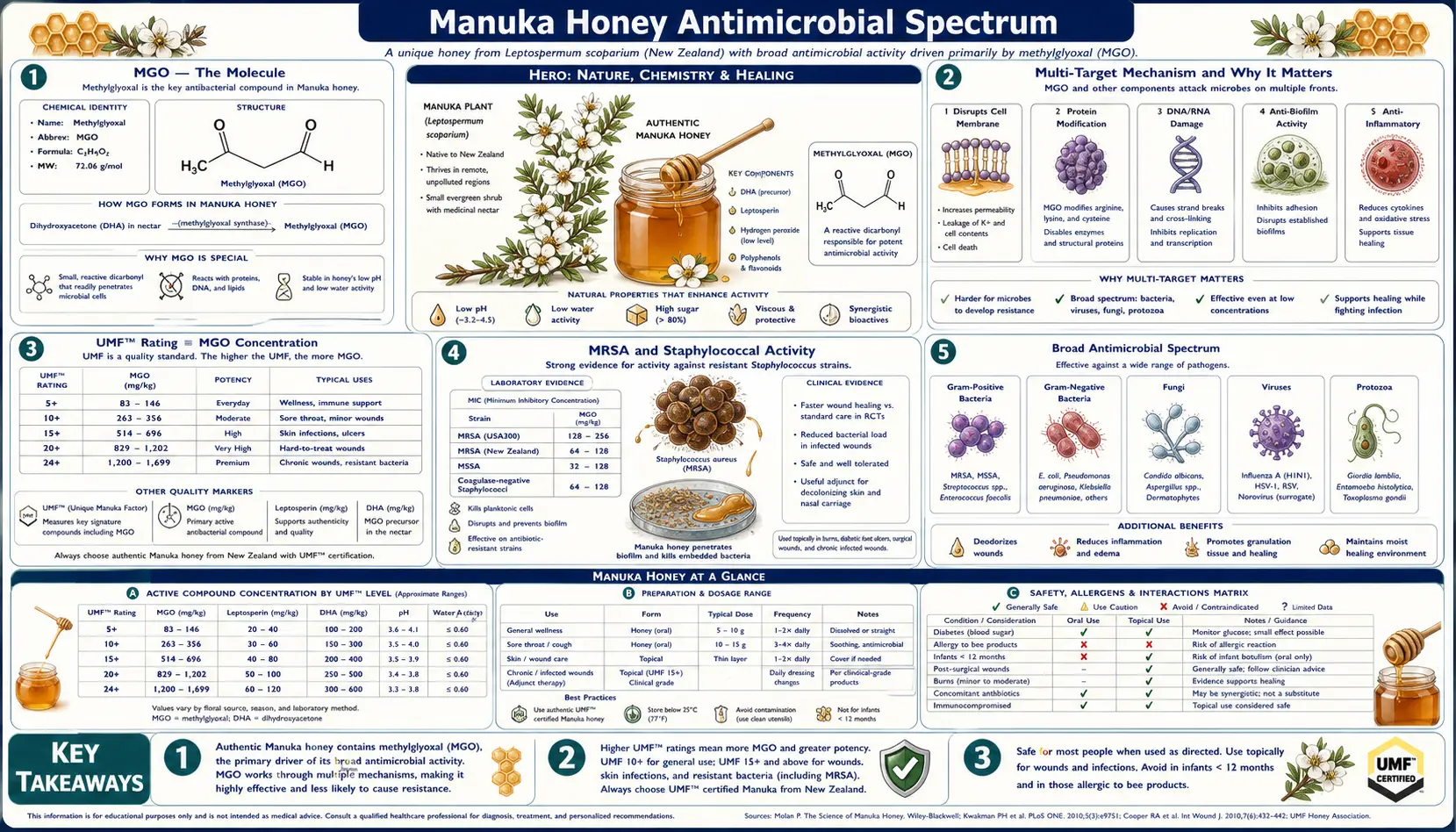 Antimicrobial Spectrum — scientific infographic poster
