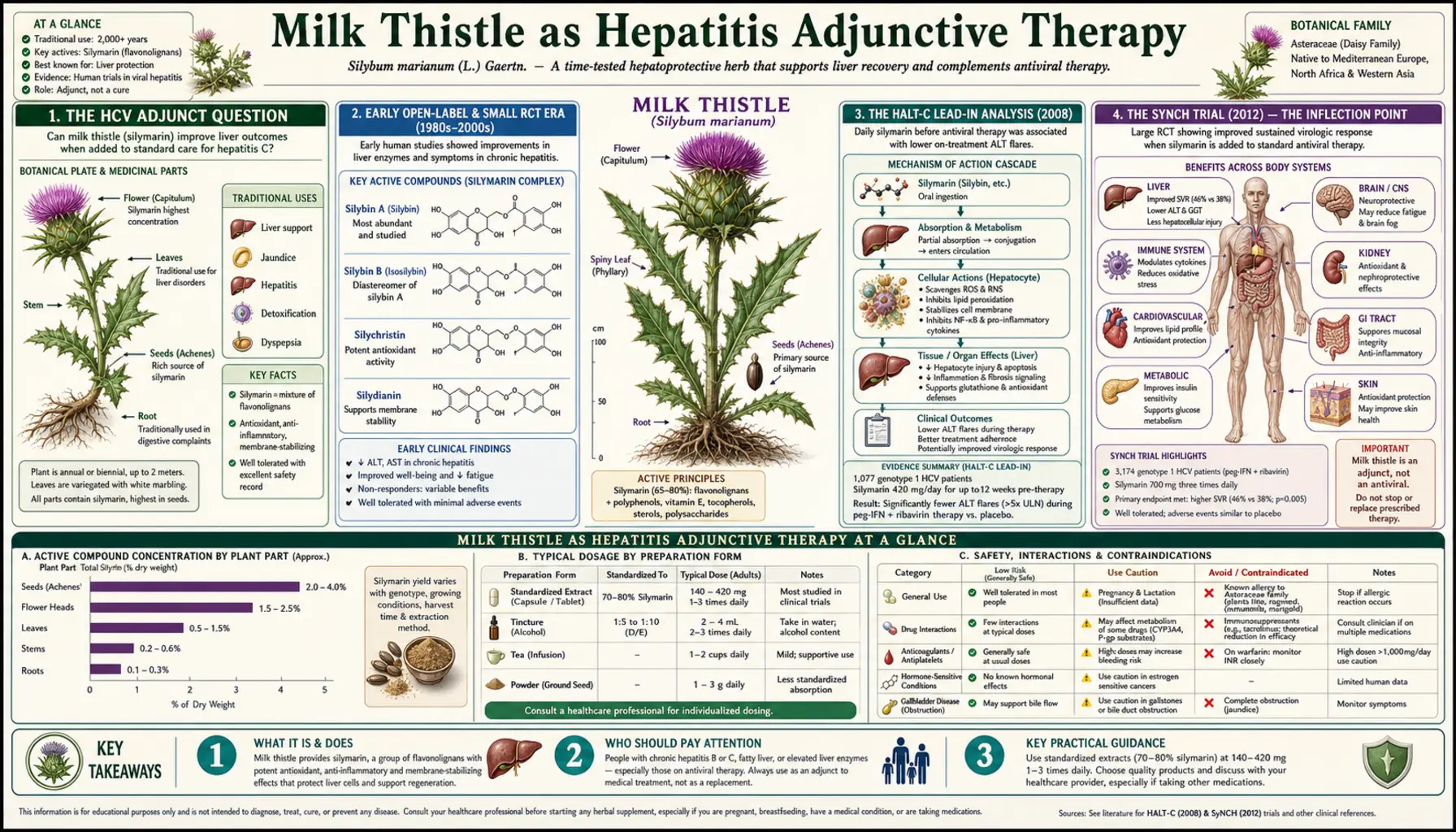 Hepatitis Adjunctive — scientific infographic poster