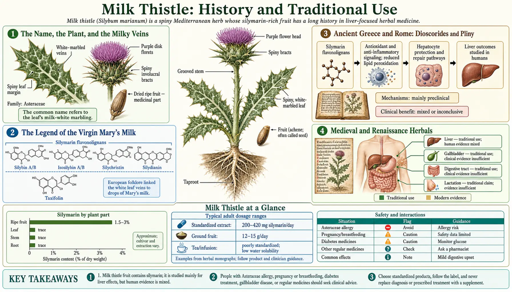 History — scientific infographic poster