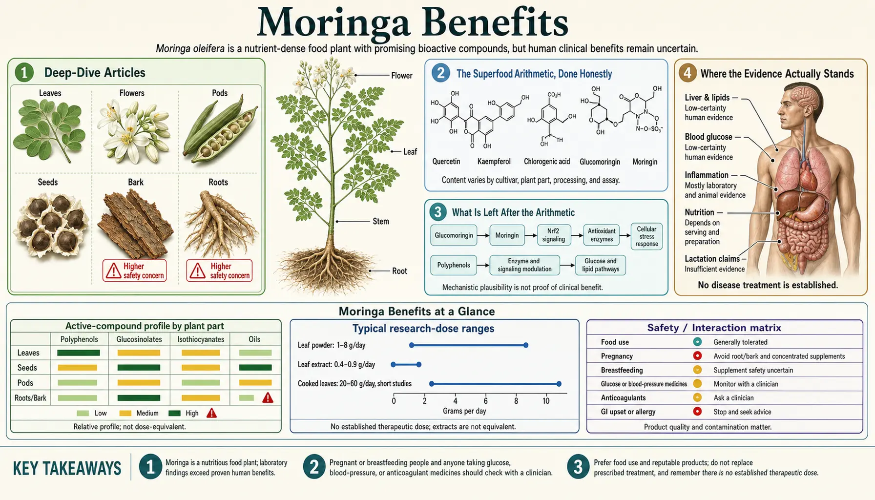 Benefits — scientific infographic poster