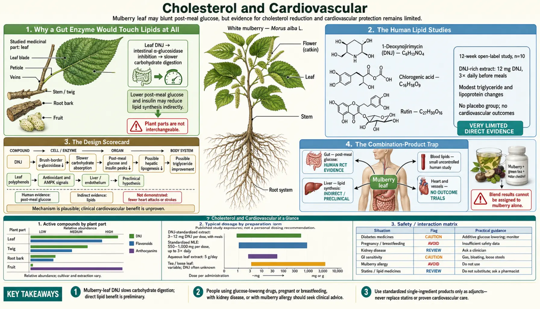 Cholesterol and Cardiovascular — scientific infographic poster