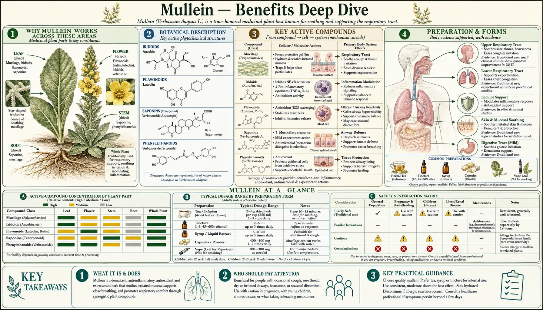 Benefits — scientific infographic poster