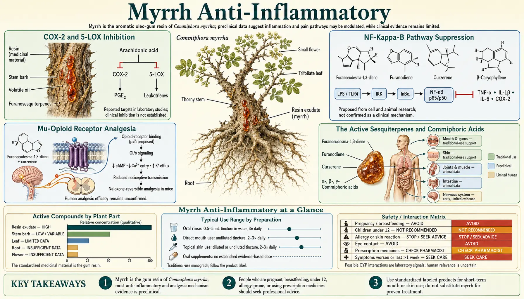 Anti Inflammatory — scientific infographic poster