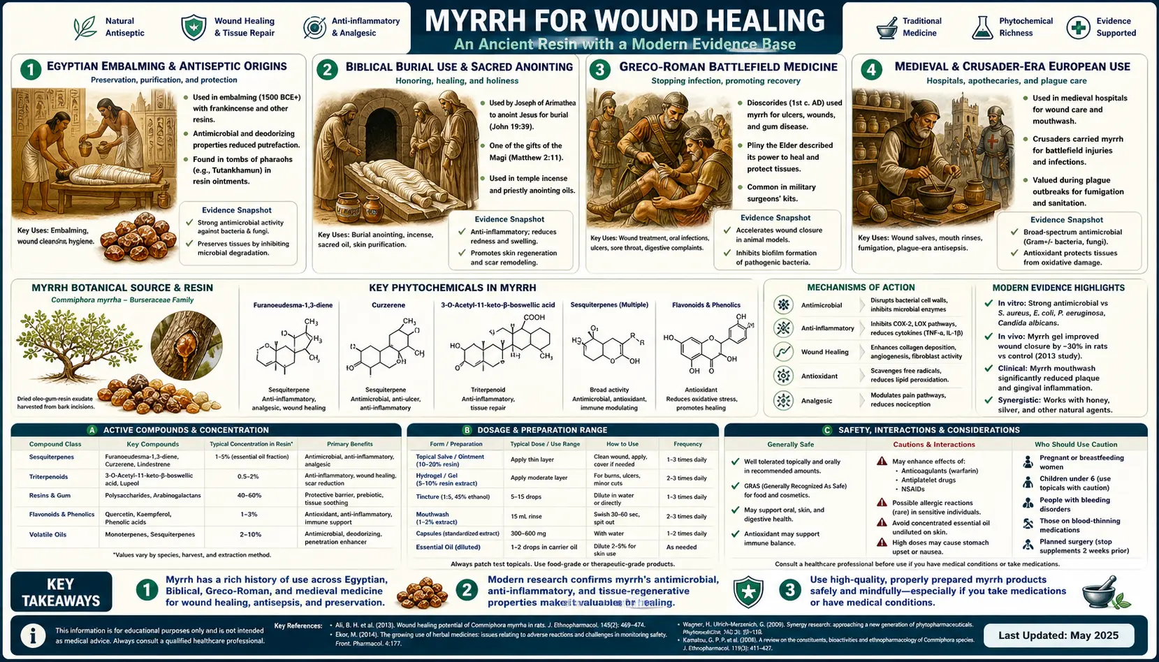 Wound Healing — scientific infographic poster