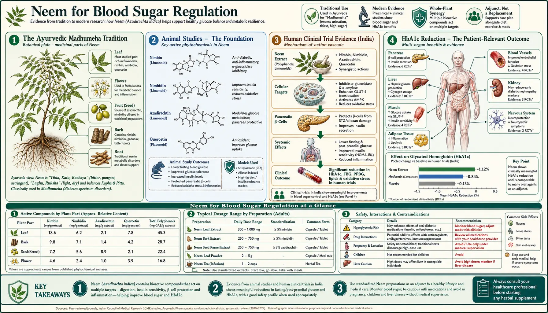 Blood Sugar — scientific infographic poster