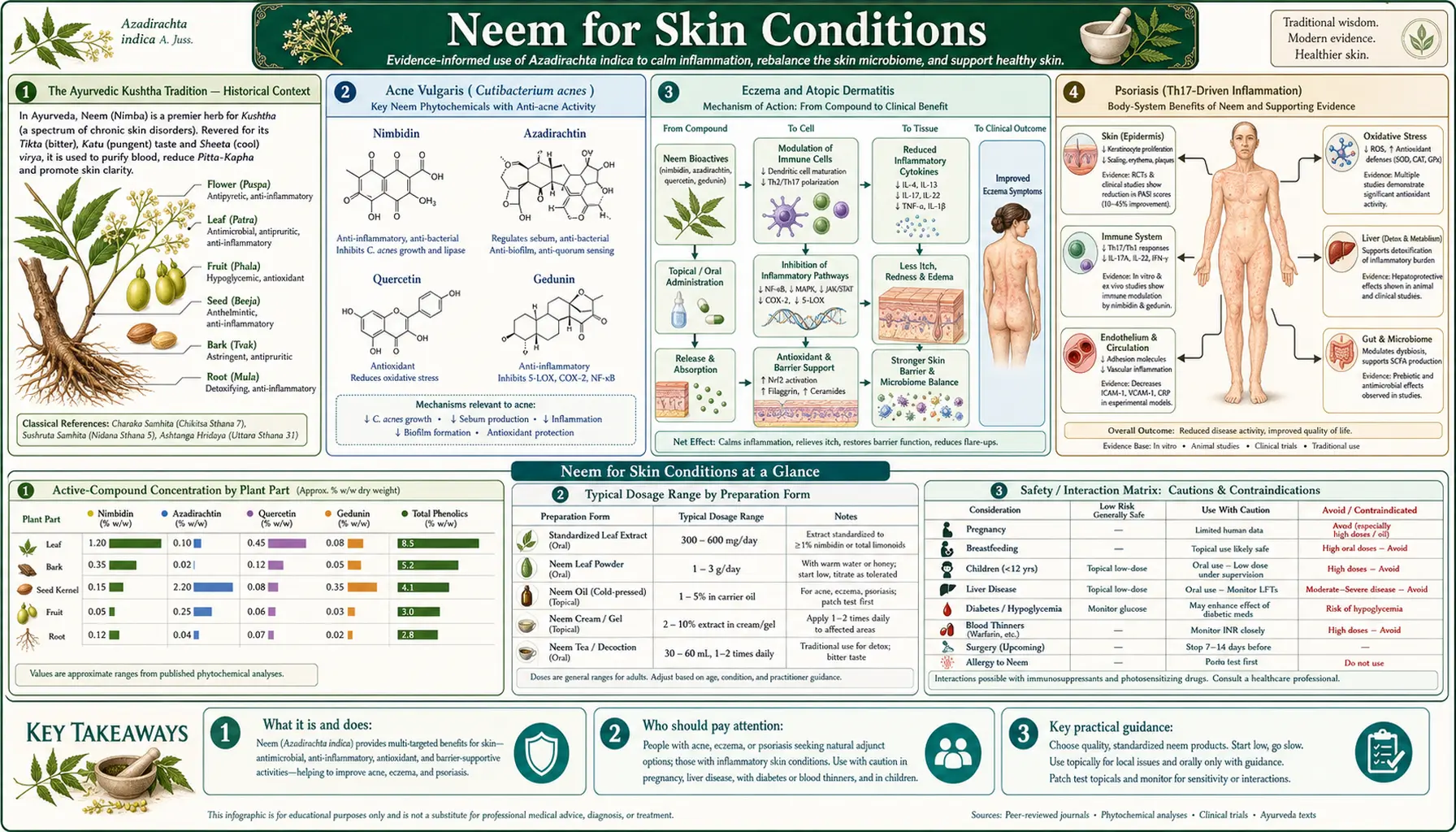 Skin Conditions — scientific infographic poster