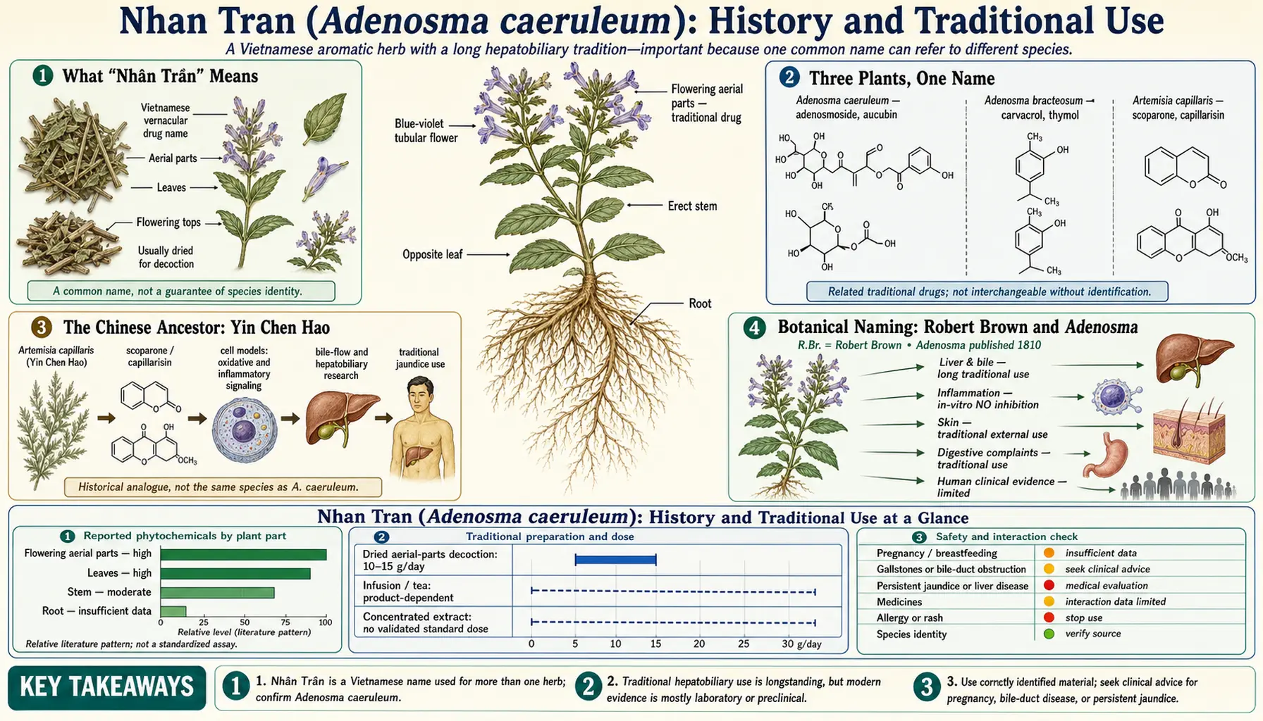 History — scientific infographic poster
